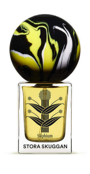 Silphium
